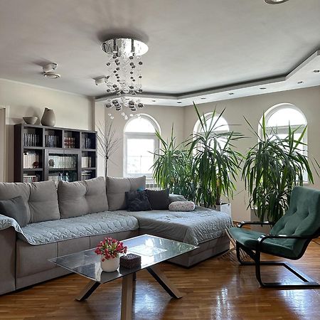 Lovely Apartments Free Street Parking Novi Sad Buitenkant foto